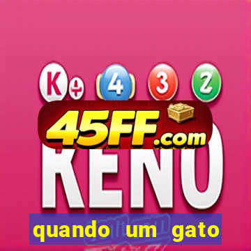 quando um gato aparece do nada significado espiritual